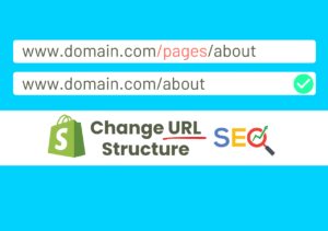 Customize Shopify Store URL - Image 7