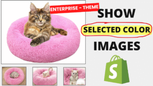 Display Selected Color Images – Enterprise Theme