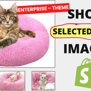 Display Selected Color Images – Enterprise Theme