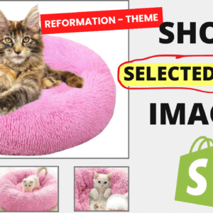 Display Selected Color Images – Reformation Theme