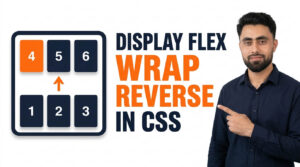 Read more about the article Display Flex Wrap Reverse in CSS